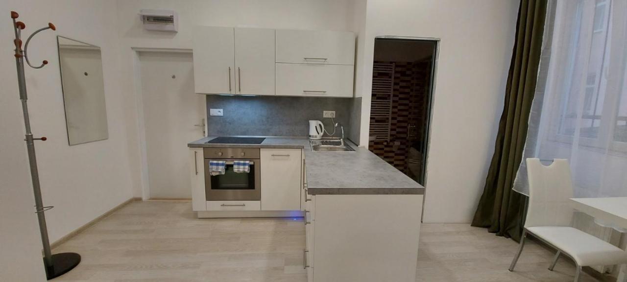 Apartment Krale Jiriho Karlovy Vary Luaran gambar