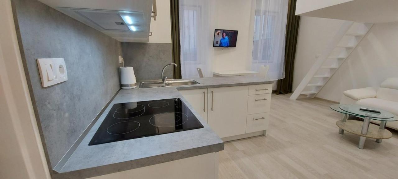 Apartment Krale Jiriho Karlovy Vary Luaran gambar