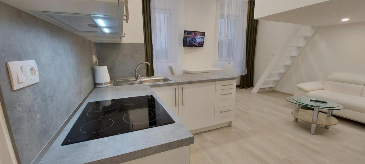 Apartment Krale Jiriho Karlovy Vary Luaran gambar